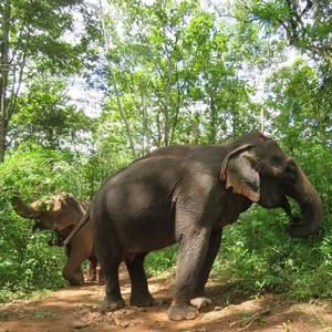 Meet your Posher, Linda